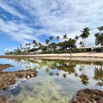 Praia do Forte e Imbassaí estão entre os três destinos mais acolhedores da Bahia