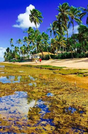 Turismo nacional sobe 6% e bate recorde no país no primeiro trimestre
